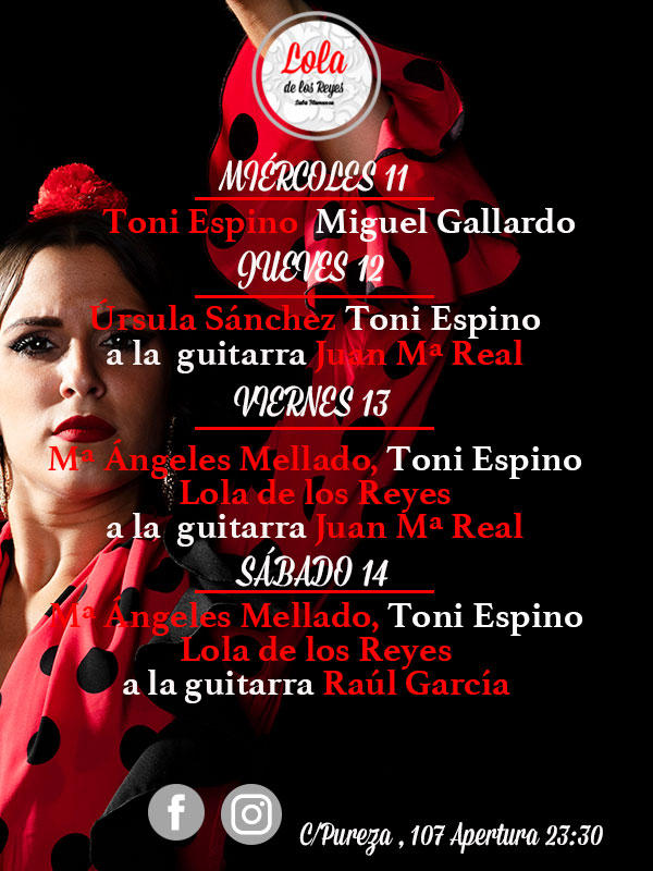 Show flamenco programme